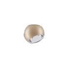 Lodes Spider LED Ceiling Light Extra Matte Champagne