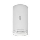 Artemide Architectural Calumet LED Exterior Ceiling Light 13 White