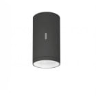 Artemide Calumet Exterior Ceiling Light - Anthracite, 13