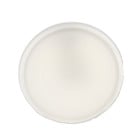 Prandina Mint LED Wall/Ceiling Light W4/W5