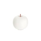KDLN Kushi Mobile LED Portable Table Lamp Copper