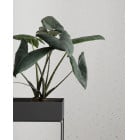 ferm LIVING Plant Box - Dark grey