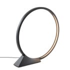 Artemide "O" Indoor LED Floor Lamp