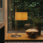 Santa & Cole TMD Table Lamp Closeup