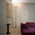  Luceplan Lola Floor Lamp in Black in Lounge