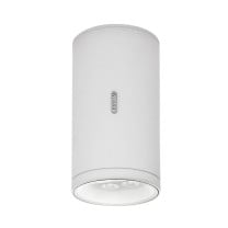 Artemide Architectural Calumet LED Exterior Ceiling Light 13 White