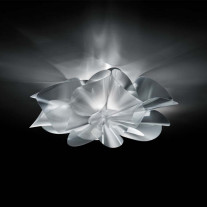 Slamp Etoile Ceiling/Wall Light