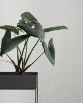 ferm LIVING Plant Box - Dark grey