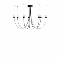 Moooi Gravity LED Chandelier Gravity 7