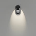 Black Lodes Pin-Up LED Wall Light