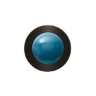 SkLO Dot 1x Wall Light - New Blue/ Dark Oxidised