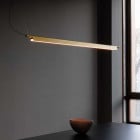 Compendium Suspension Light in Black