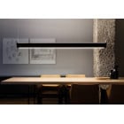 Nemo Lighting TRU Suspension Light Black