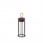 Flos In Vitro LED Outdoor Unplugged Light Deep Brown