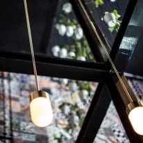 Rubn Vox Pendant Light