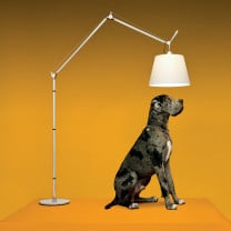 Artemide Tolomeo Mega LED Floor in Studio