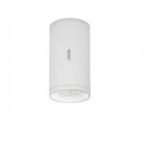Artemide Calumet Exterior Ceiling Light - Grey White, 13