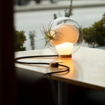 Bocci 38Vt Table and Wall LigBocci 38Vt Table and Wall Light