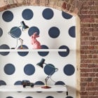 Anglepoise Type 75 Paul Smith Edition Four Pairs on Shelves