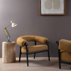 Anglepoise + Paul Smith Mini Desk Lamp Edition One in Sitting Room
