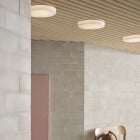 Muuto Looped Wall/ Ceiling Lamp IP44