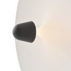 New Works Kantarell Wall / Ceiling Light Details - On