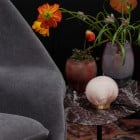 Bocci 84t Table and Wall Light