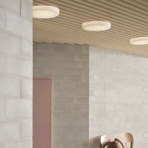 Muuto Looped Wall/ Ceiling Lamp IP44