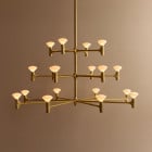 Tala Root Chandelier Lifestyle In Situ