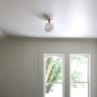 SkLO Stem 1x Wall / Ceiling Light on Ceiling