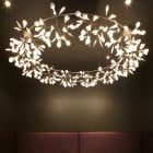 Moooi Heracleum III The Big O LED Suspension Nickel