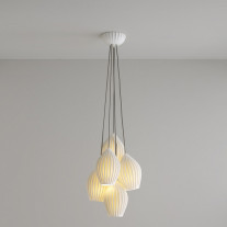 Original BTC Fin Grouping of 5 On