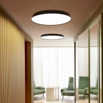 Compendium Plate Wall/Ceiling Light in Black