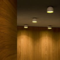 Flos Wan Ceiling/Wall Light White