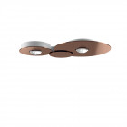 Lodes Bugia LED Ceiling/Wall Light - Double, Bronze