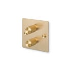 Buster and Punch 2G Modular Dimmer Switch Brass Cross