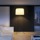 Ola Floor Lamp In Situ