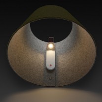 Pablo Lana LED Table Lamp Moss Shade 
