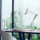 Anglepoise Type 75 Paul Smith Table Lamp Edition One on Desk
