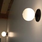 SkLO Stem 1x Wall / Ceiling Light in Pairs