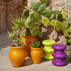 Green and Violet Kartell Sottsass Pilastro Stools
