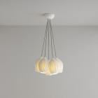 Original BTC Fin Grouping of 5 On