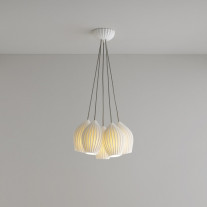 Original BTC Fin Grouping of 5 On