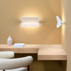 Sammode Studio Pierre Guariche G3 Wall Light in Office
