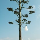 Green Flos Mayday Outdoor Lamp