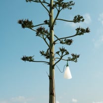 Green Flos Mayday Outdoor Lamp