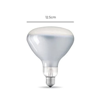 Specification Image for Flos Parentesi 12W E27 Bulb