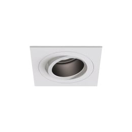 Astro Pinhole Pro LED Downlight