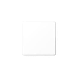 BEGA 12146 LED Ceiling / Wall Light