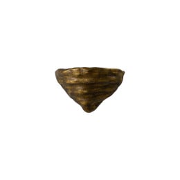 Porta Romana Mollusc Wall Light